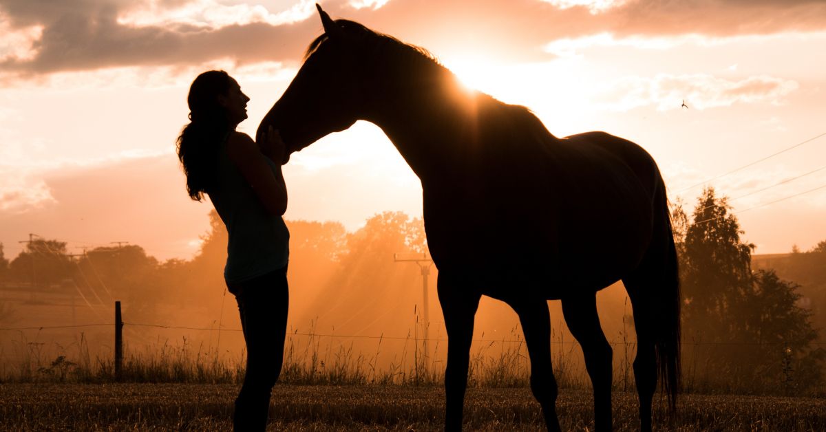 Choosing The Right Horse Supplements For Your Equine Companion - Camelus