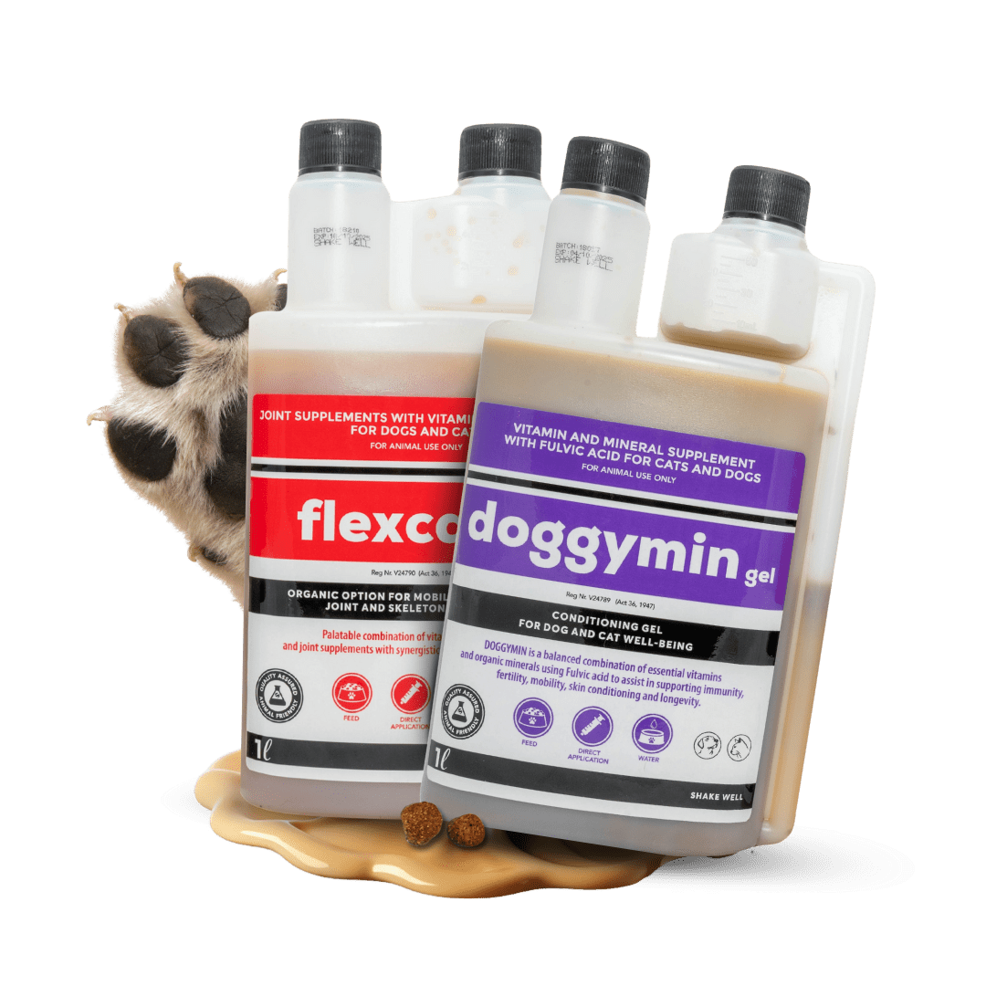 Joint Supplements for Dogs - Camelus