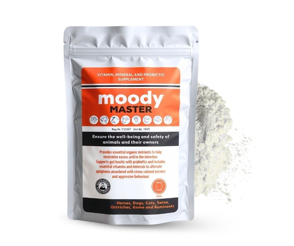 Calming Supplements For Dogs - Camelus