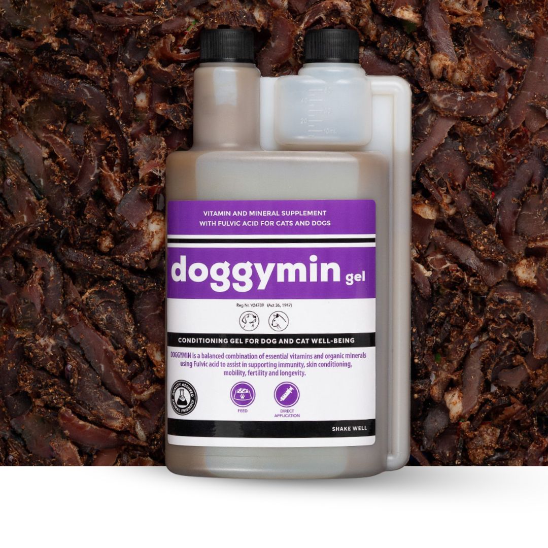 Doggymin (Skin & Immunity Support For Dogs) - Camelus - Skin Conditioning | Longevity | Mobility | Fertility | Immunity
