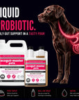 EcoGut Master – Liquid Probiotic & Gut Support for Dogs
