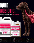 EcoGut Master – Liquid Probiotic & Gut Support for Dogs - Camelus - HEALTHY STOOLS | GUT BALANCE | BETTER ABSORPTION | DAILY WELLBEING