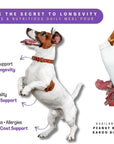 Flexcare & Doggymin (Joint & Skin Support For Dogs & Cats) - Camelus - Joint | Skeleton | Mobility | Skin Conditioning | Longevity | Fertility | Immunity