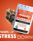 Flexcare, Doggymin & Moody Master (Ultimate Wellness for Dogs & Cats) - Camelus - Immunity | Skin & Coat | Movement | Anxiety | Happiness