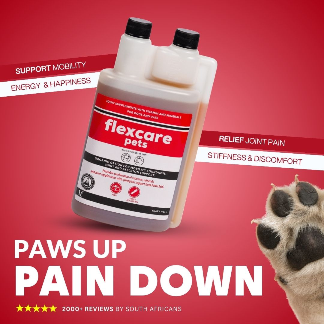 Flexcare, Doggymin & Moody Master (Ultimate Wellness for Dogs & Cats) - Camelus - Immunity | Skin & Coat | Movement | Anxiety | Happiness