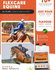 Ultimate Equine Care Combo (Daily Vitality, Mobility, Recovery & Calmness) - Camelus - FlexCare | ElectroCare | Trophy | Moody Master