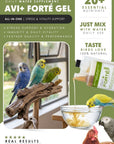 Avi Forte (Performance, Immunity & Feather Health for Poultry & All Bird Species) - Camelus - Performance | Endurance | Stress Support | Feather Quality | Immunity & Vitality
