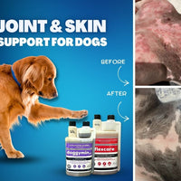 Before and after joint and skin support for dogs
