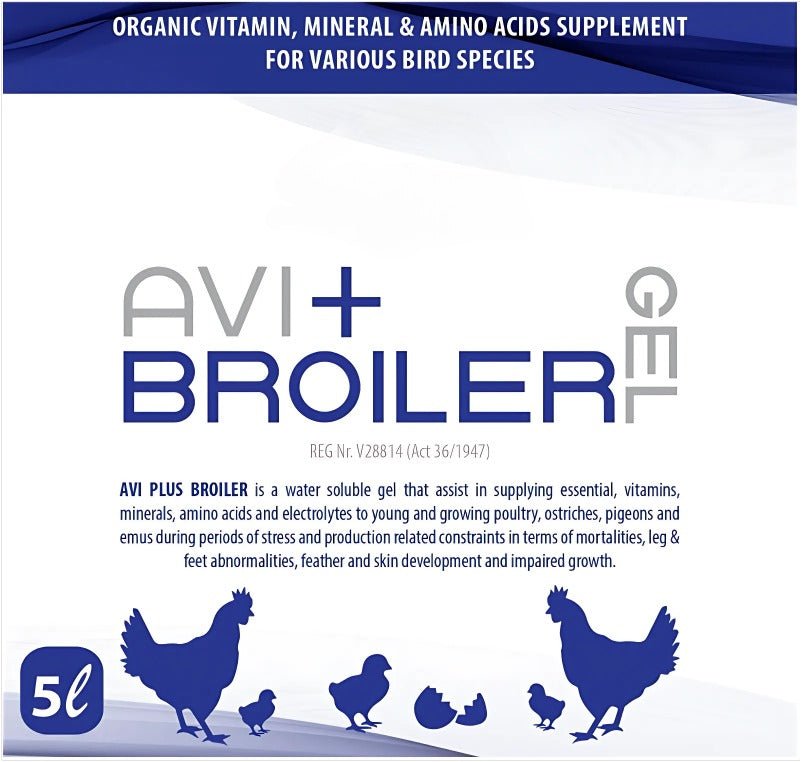 Avi Plus Broiler (Supplement For Poultry, Ostriches, Pet Birds & Pigeons) - Camelus - Growth Support | Leg & Feather Support | Immunity Support
