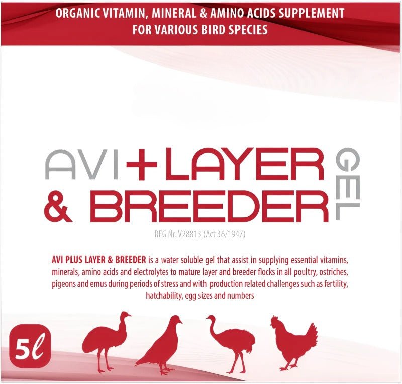 Avi Plus Layer & Breeder (Supplement For Poultry, Ostriches, Emus & Pigeons) - Camelus - Fertility | Hatchability | Immunity | Skeletal Support
