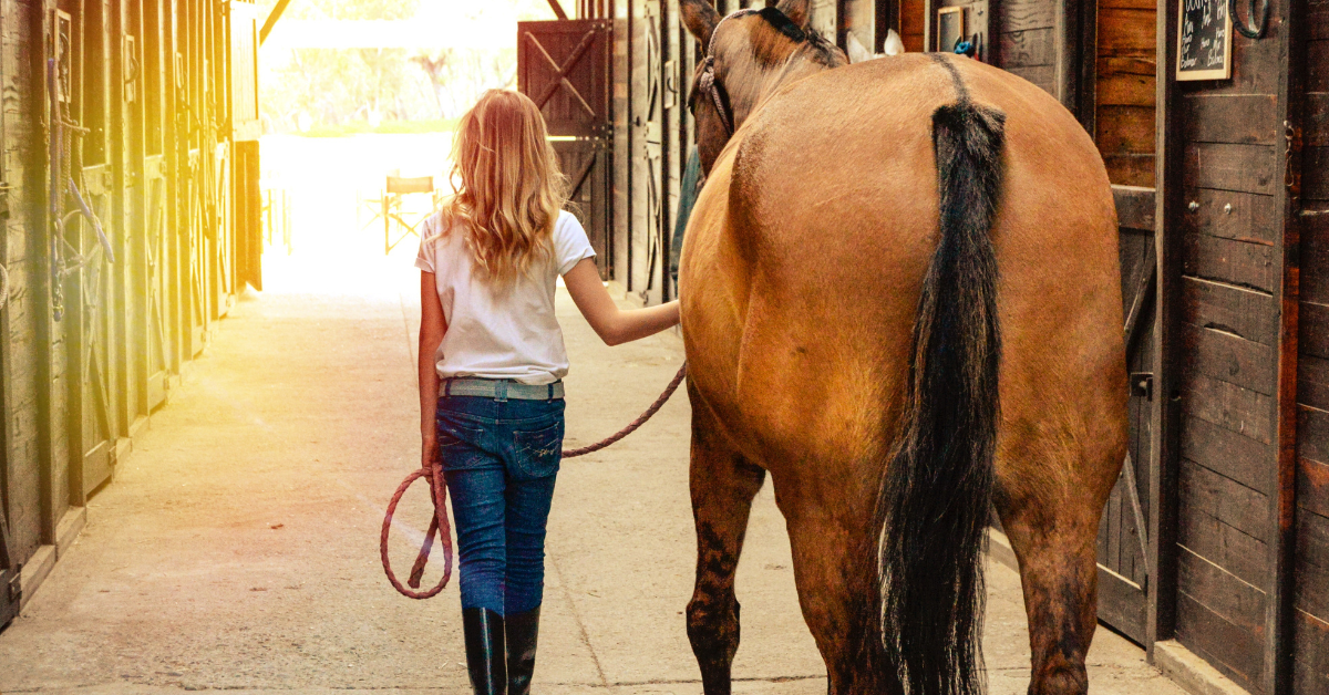 Horse walking with owner