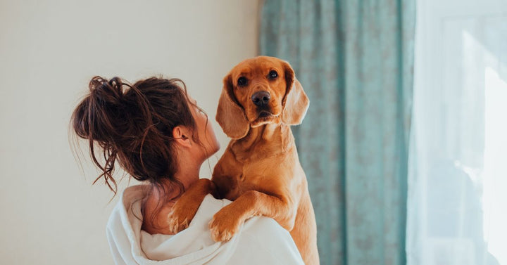 A Dog Carried by its Owner⁠