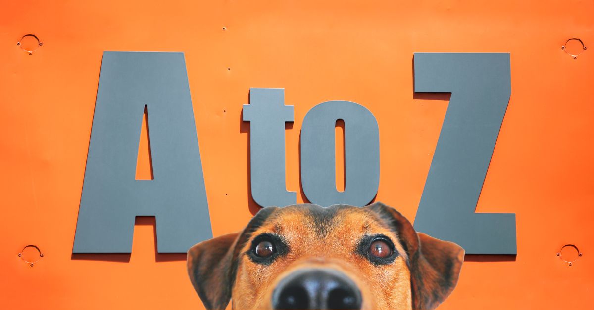 A to Z