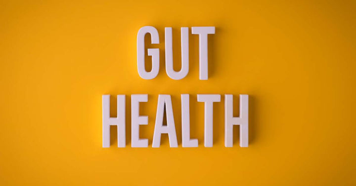 Gut health lettering sign