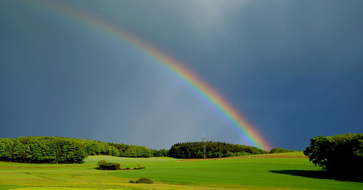 Rainbow in Nature
