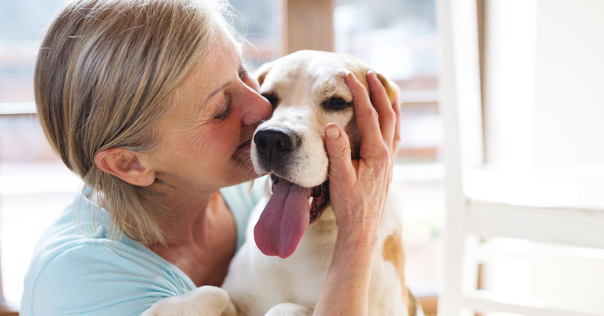 The Role of Folic Acid in Supporting Dog Skin and Coat Health - Camelus