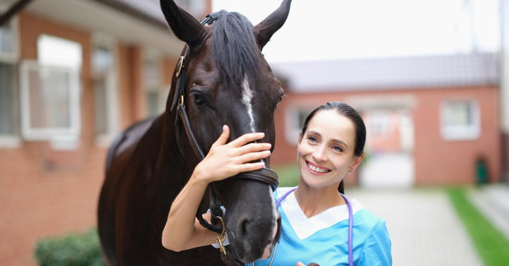Veterinarian and a horse