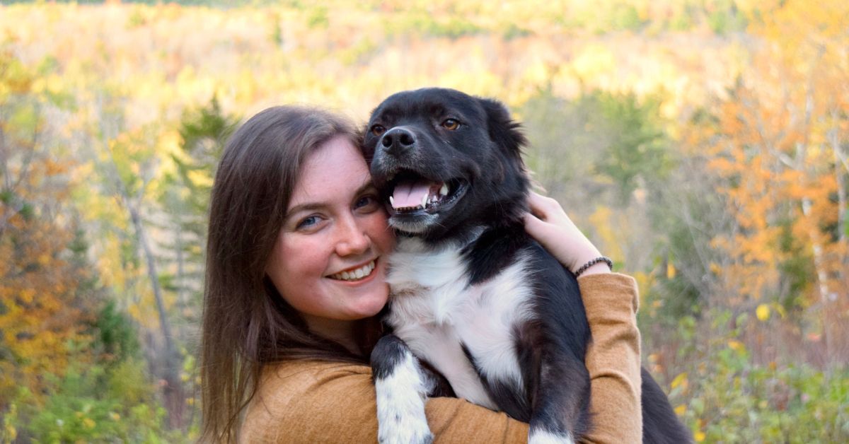 Tips for Supporting Ageing Dogs with Joint Supplements
