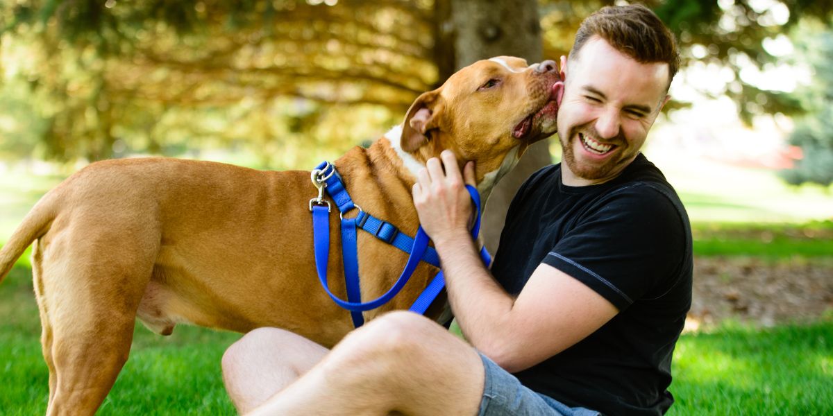 Dog Supplements For Muscle Growth - Camelus