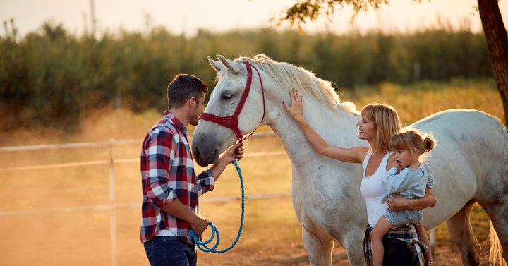 family petting a horse