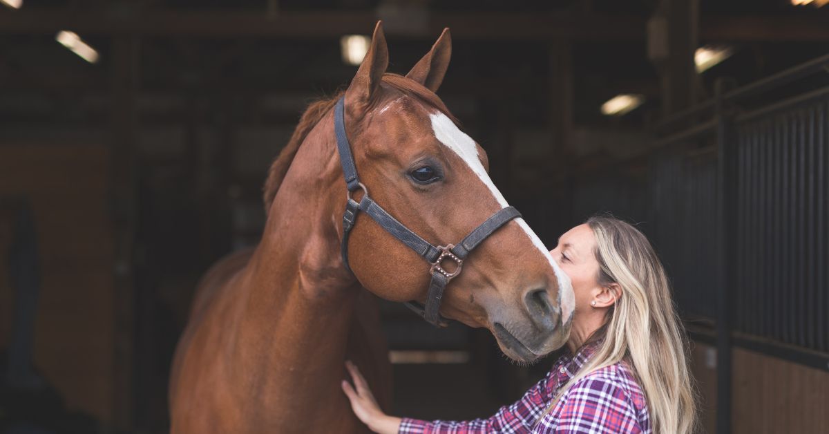 The Future Of Equine Supplement Research - Camelus