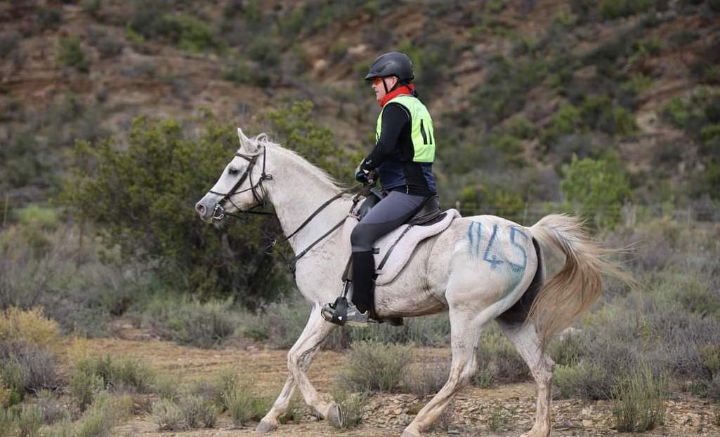 Camelus horse supplements banner