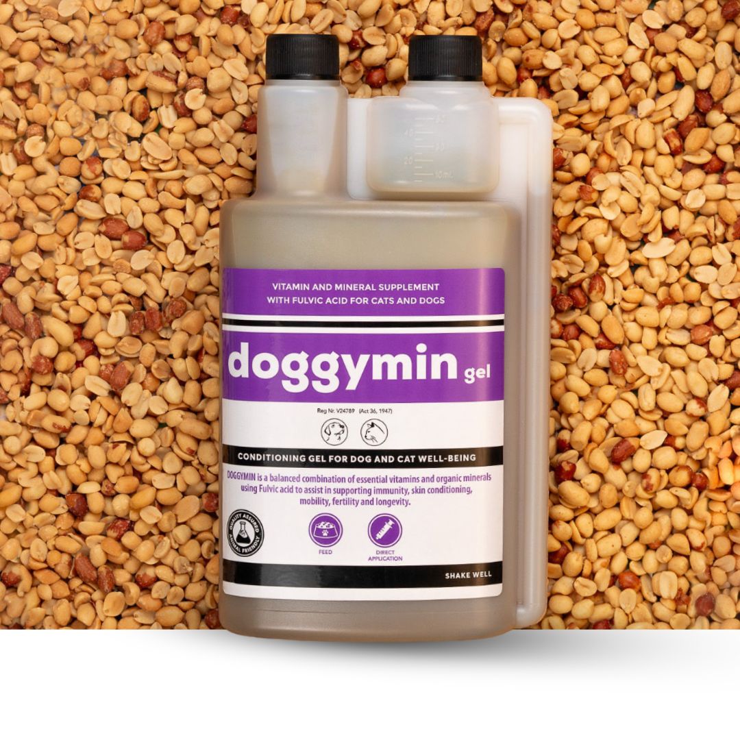 Doggymin (Skin &amp; Immunity Support For Dogs) - Camelus - Skin Conditioning | Longevity | Mobility | Fertility | Immunity