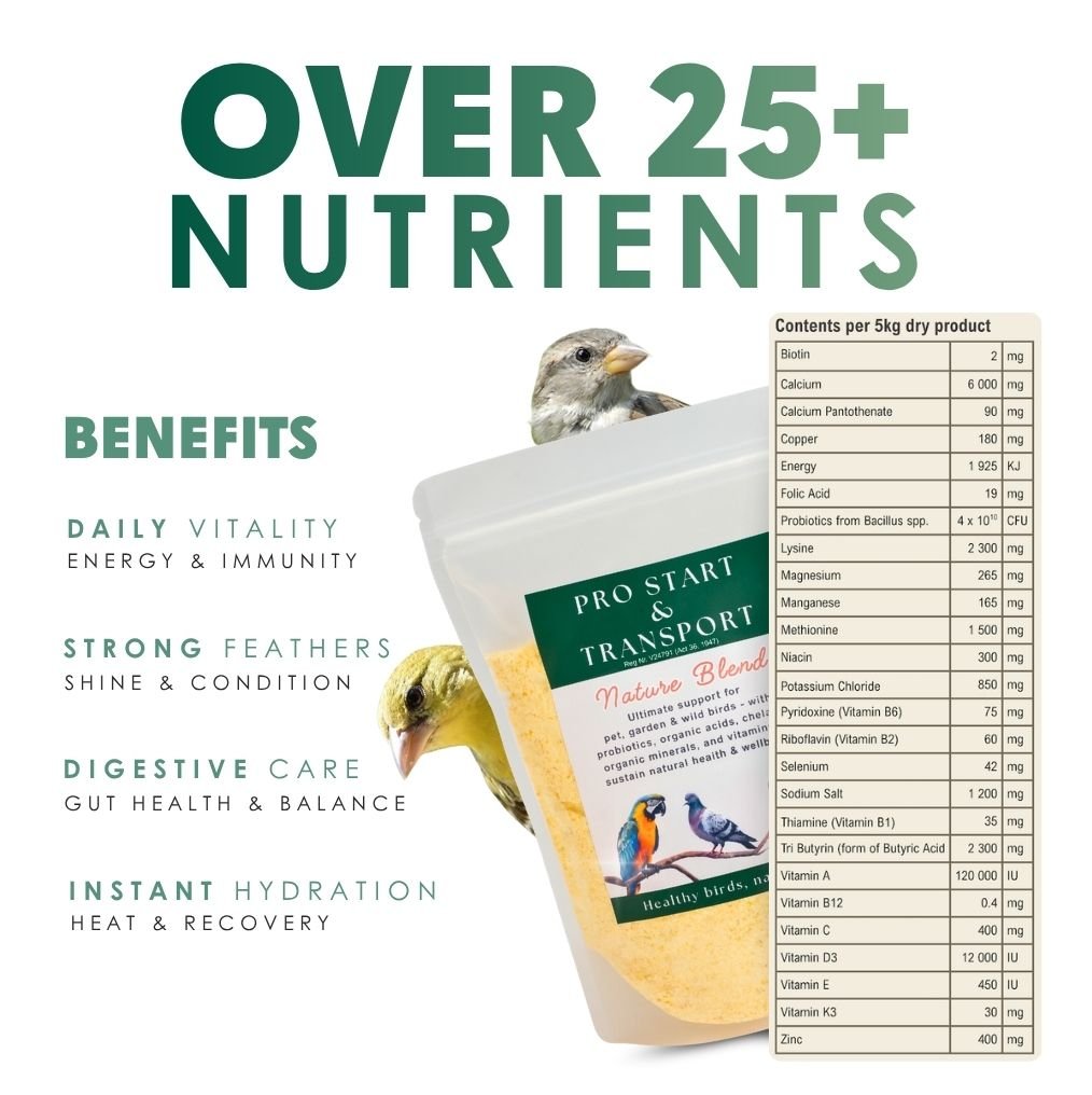 Pro Start Nature Blend (Supplement Feed for Birds &amp; Poultry) - Camelus - Feather Shine | Energy | Hydration | Immunity | Gut Health | Fertility