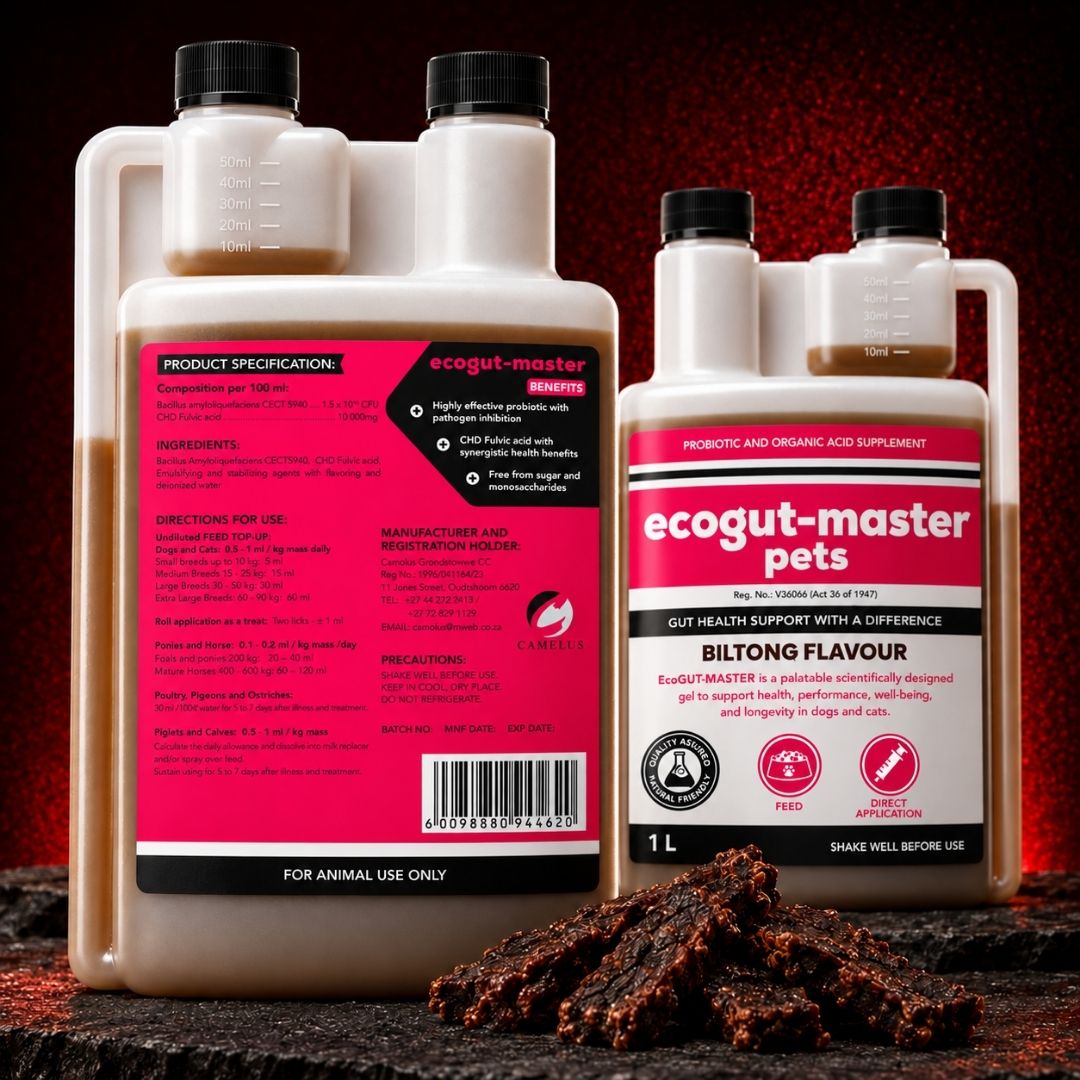 EcoGut Master – Liquid Probiotic &amp; Gut Support for Dogs