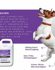 Flexcare & Doggymin (Joint & Skin Support For Dogs & Cats)