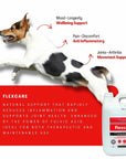 Flexcare & Doggymin (Joint & Skin Support For Dogs & Cats)