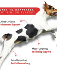 Flexcare & Doggymin (Joint & Skin Support For Dogs & Cats)