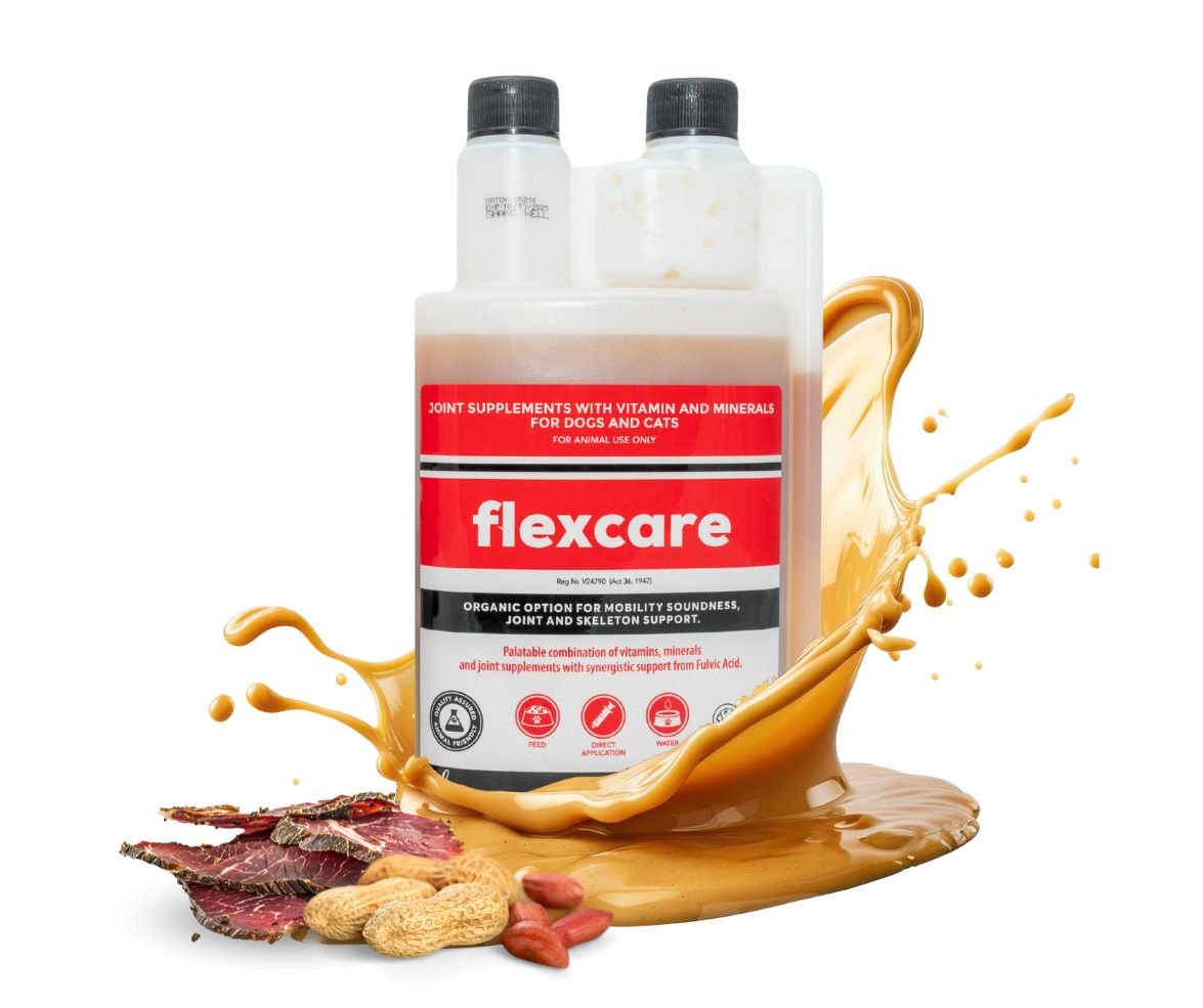 FlexCare & Moody Master (Movement & Calmness Support for Dogs) - Camelus - Joint | Movement | Barking | Anxiety | Probiotic