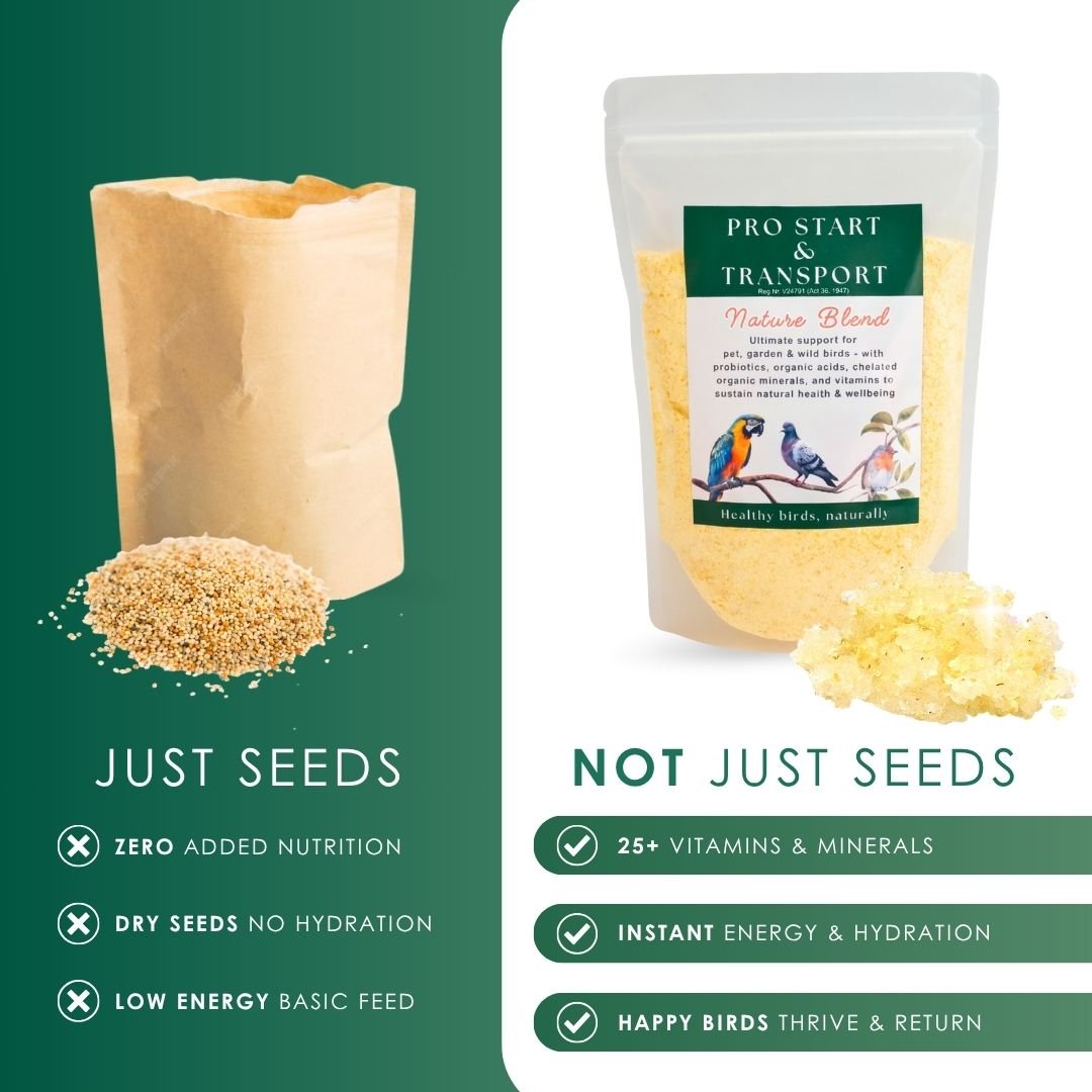 NEW! - Pro Start Nature Blend (25+ Nutrients for Pet &amp; Garden Birds) - Camelus - Feather Shine | Energy | Hydration | Immunity | Gut Health | Fertility