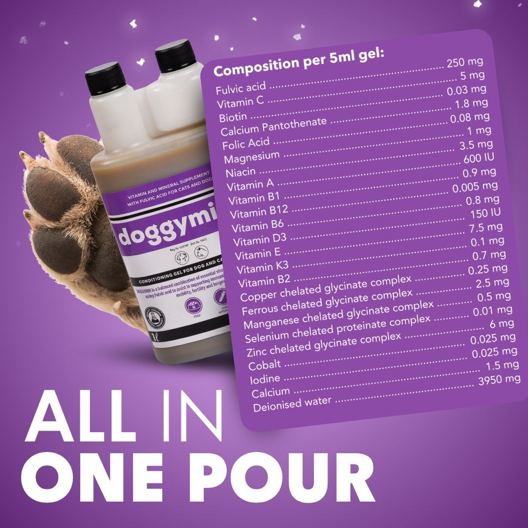 Doggymin (Skin &amp; Immunity Support For Dogs) - Camelus - Skin Conditioning | Longevity | Mobility | Fertility | Immunity