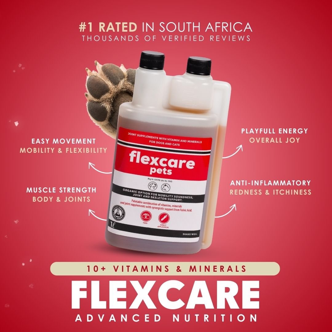 FlexCare (Joint &amp; Movement Support For Dogs) - Camelus - Joint | Mobility | Inflammation | Pain | Discomfort