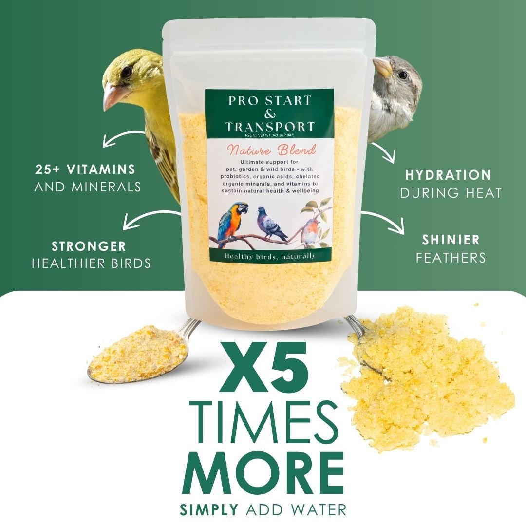 Pro Start Nature Blend (25+ Nutrients for Pet &amp; Garden Birds) - Camelus - Feather Shine | Energy | Hydration | Immunity | Gut Health | Fertility