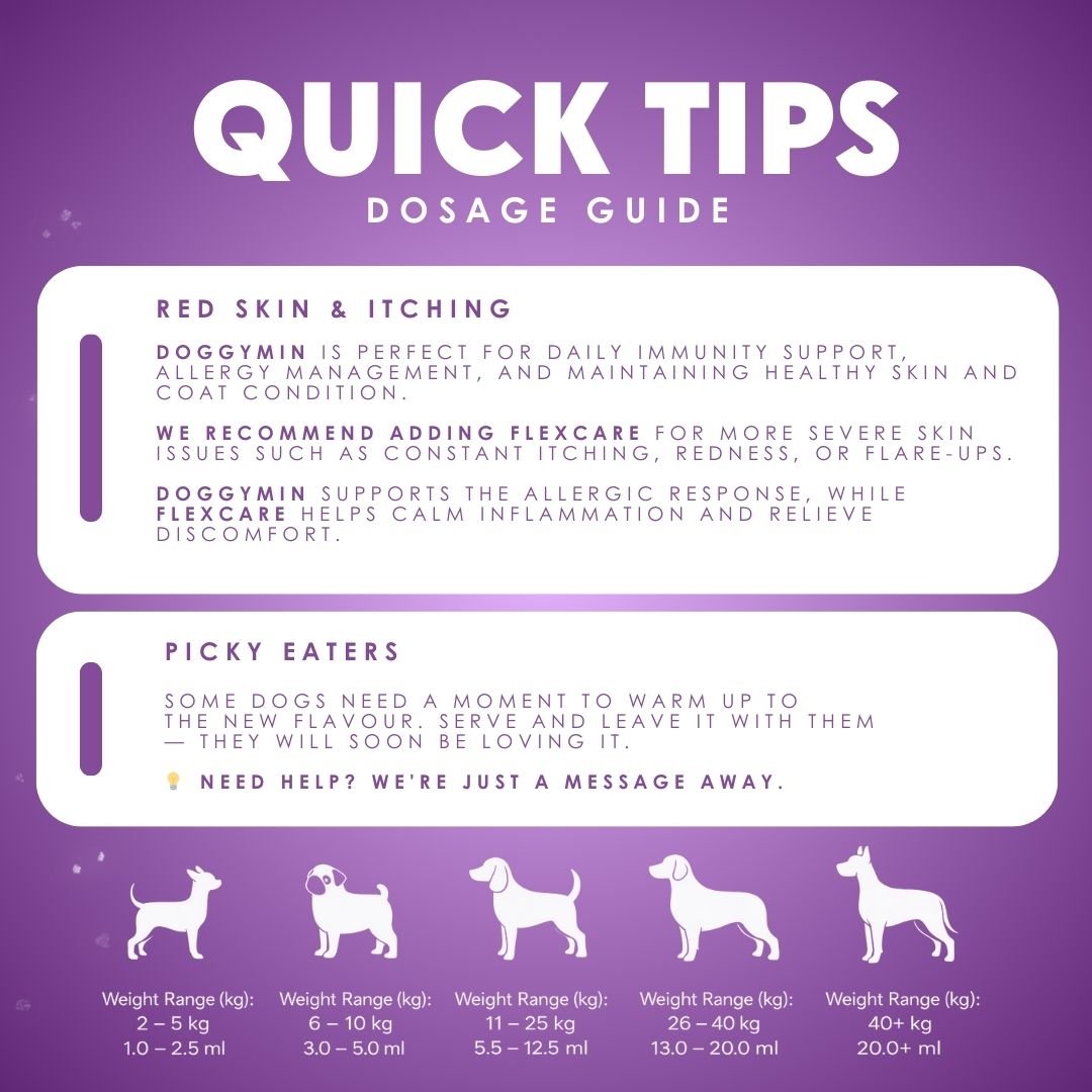 Doggymin (Skin &amp; Immunity Support For Dogs) - Camelus - Skin Conditioning | Longevity | Mobility | Fertility | Immunity