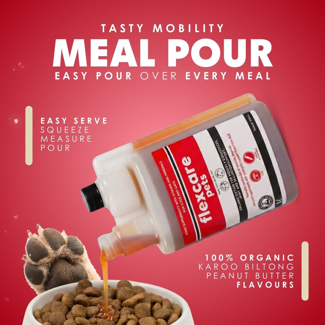 FlexCare (Joint &amp; Movement Support For Dogs) - Camelus - Joint | Mobility | Inflammation | Pain | Discomfort