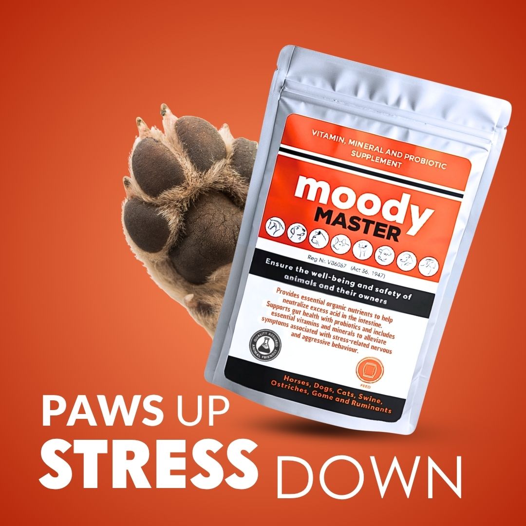 Flexcare, Doggymin &amp; Moody Master (Ultimate Wellness for Dogs &amp; Cats)