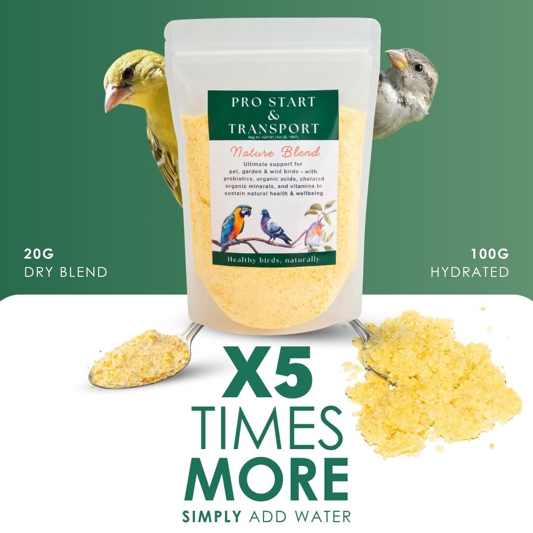 NEW! - Pro Start Nature Blend (25+ Nutrients for Pet &amp; Garden Birds) - Camelus - Feather Shine | Energy | Hydration | Immunity | Gut Health | Fertility