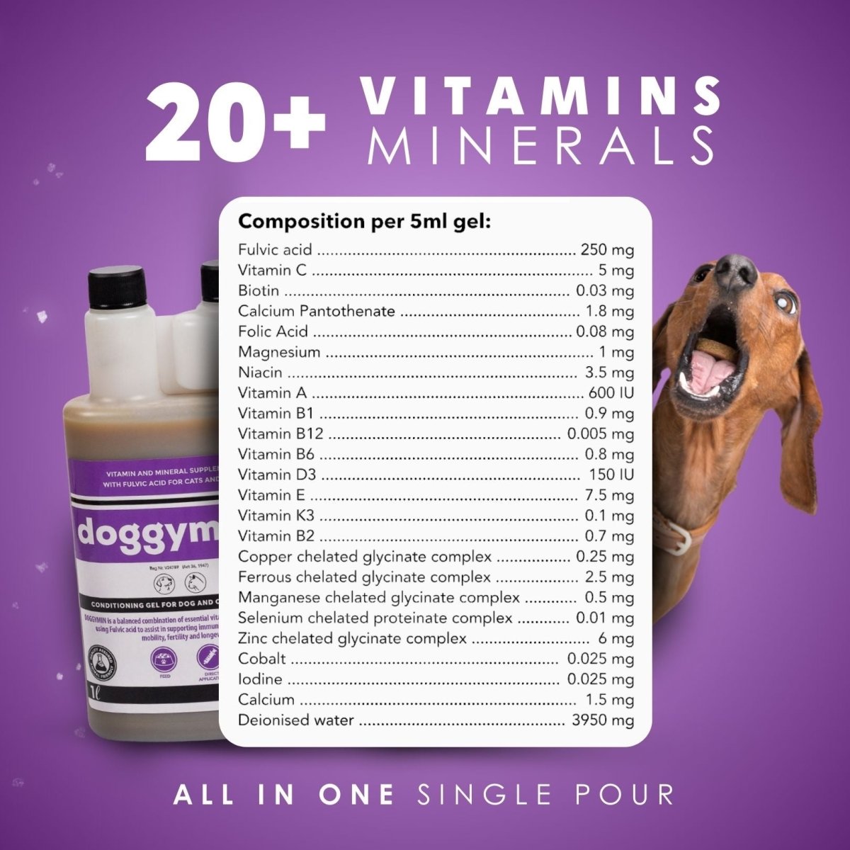 Doggymin (Skin &amp; Immunity Support For Dogs) - Camelus - Skin Conditioning | Longevity | Mobility | Fertility | Immunity