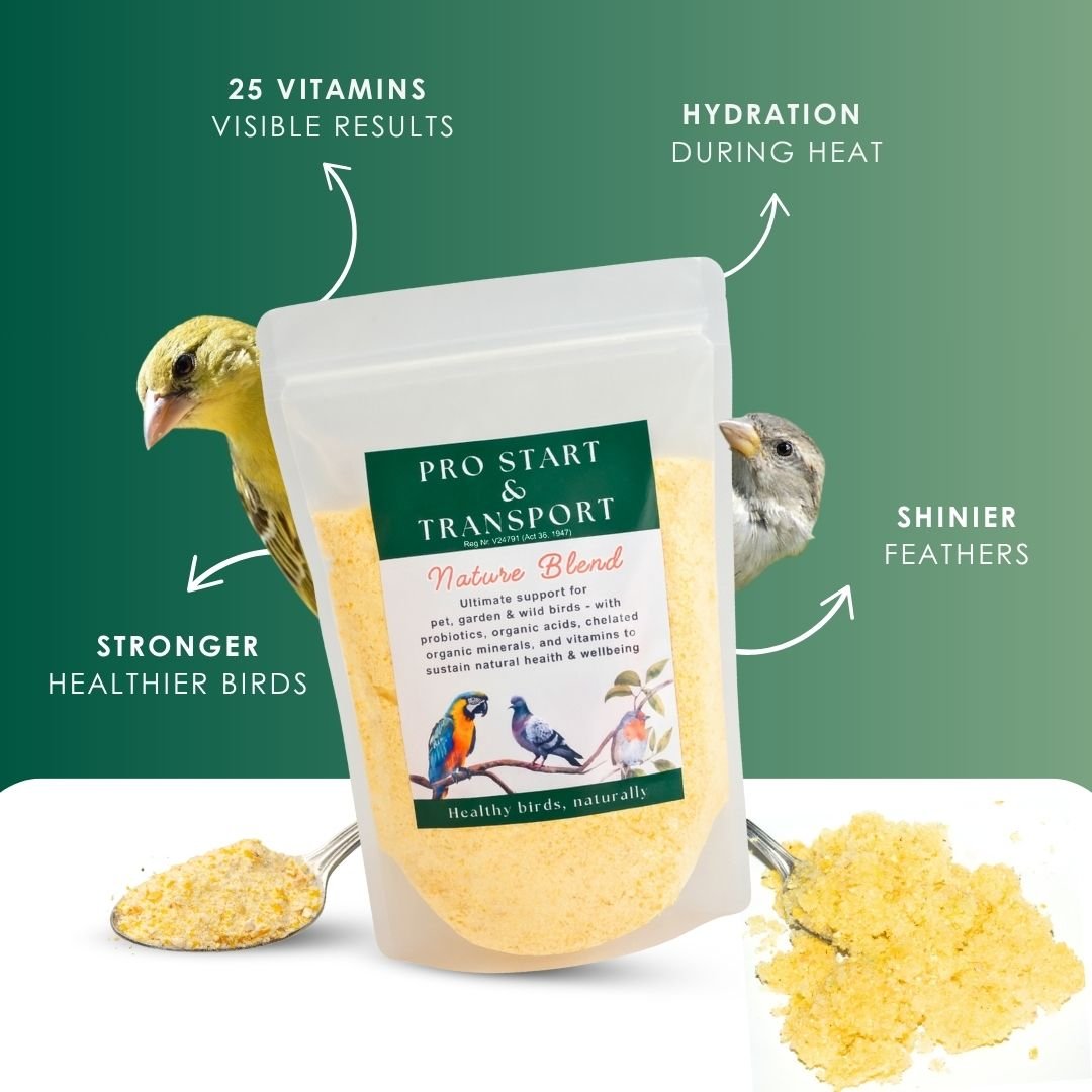 NEW! - Pro Start Nature Blend (25+ Nutrients for Pet &amp; Garden Birds) - Camelus - Feather Shine | Energy | Hydration | Immunity | Gut Health | Fertility