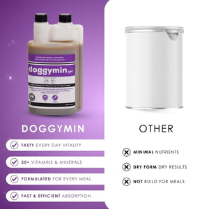 Doggymin (Skin & Immunity Support For Dogs) - Camelus - Skin Conditioning | Longevity | Mobility | Fertility | Immunity