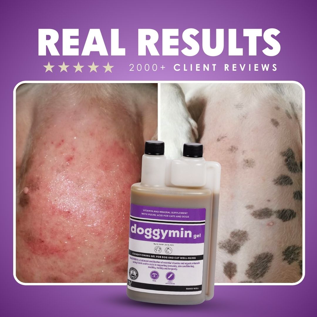 Natural Canine Care | DoggyMin - Skin &amp; Immune Support for Dogs - Camelus - Joint | Skeleton | Mobility | Skin Conditioning | Longevity | Fertility | Immunity