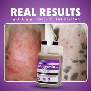 Natural Canine Care | DoggyMin - Skin & Immune Support for Dogs - Camelus - Joint | Skeleton | Mobility | Skin Conditioning | Longevity | Fertility | Immunity