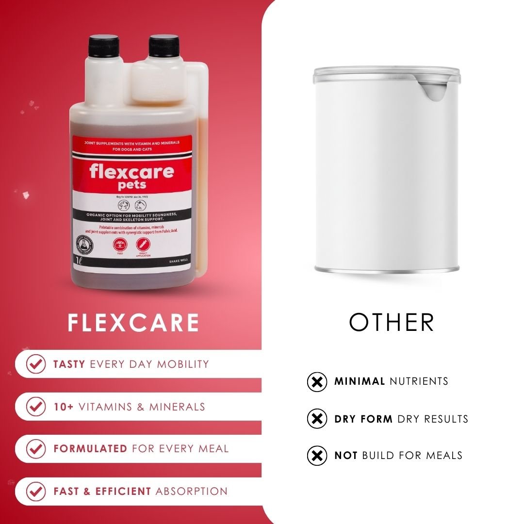 FlexCare (Joint &amp; Movement Support For Dogs) - Camelus - Joint | Mobility | Inflammation | Pain | Discomfort