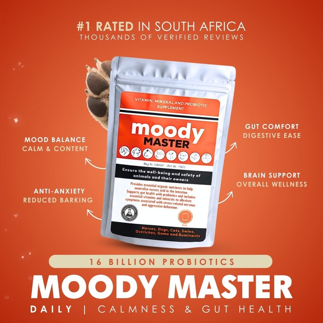 Moody Master (Stress, Anxiety & Mood Support for Cats & Dogs) - Camelus - Anxiety | Stress | Barking | Gut Health | Probiotic