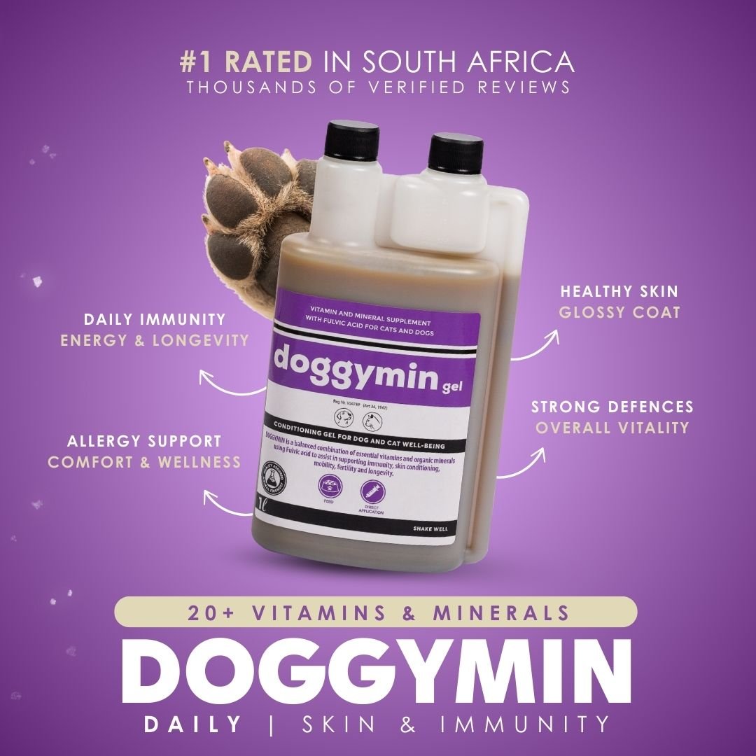 Doggymin (Skin &amp; Immunity Support For Dogs) - Camelus - Skin Conditioning | Longevity | Mobility | Fertility | Immunity