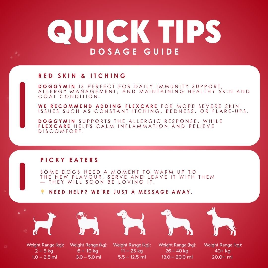 FlexCare (Joint &amp; Movement Support For Dogs) - Camelus - Joint | Mobility | Inflammation | Pain | Discomfort